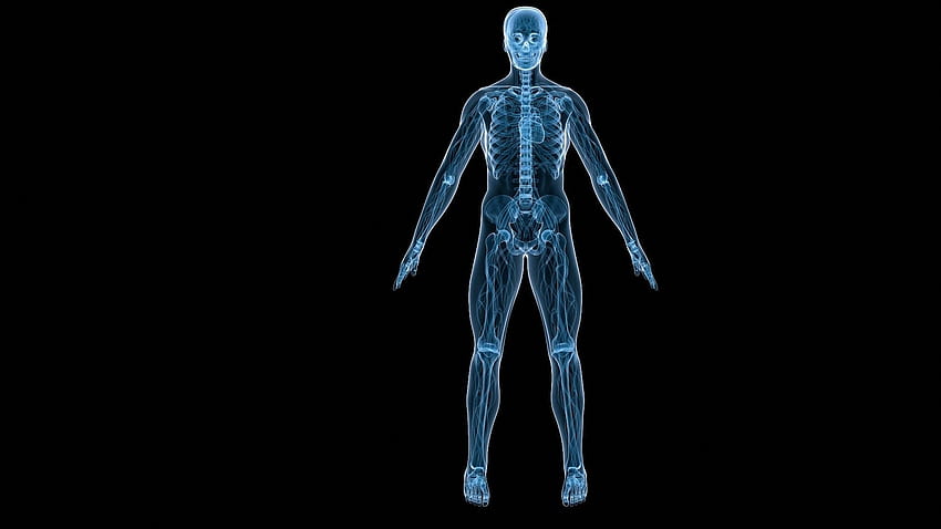 Черни човешки скелети Body Data Src HD тапет