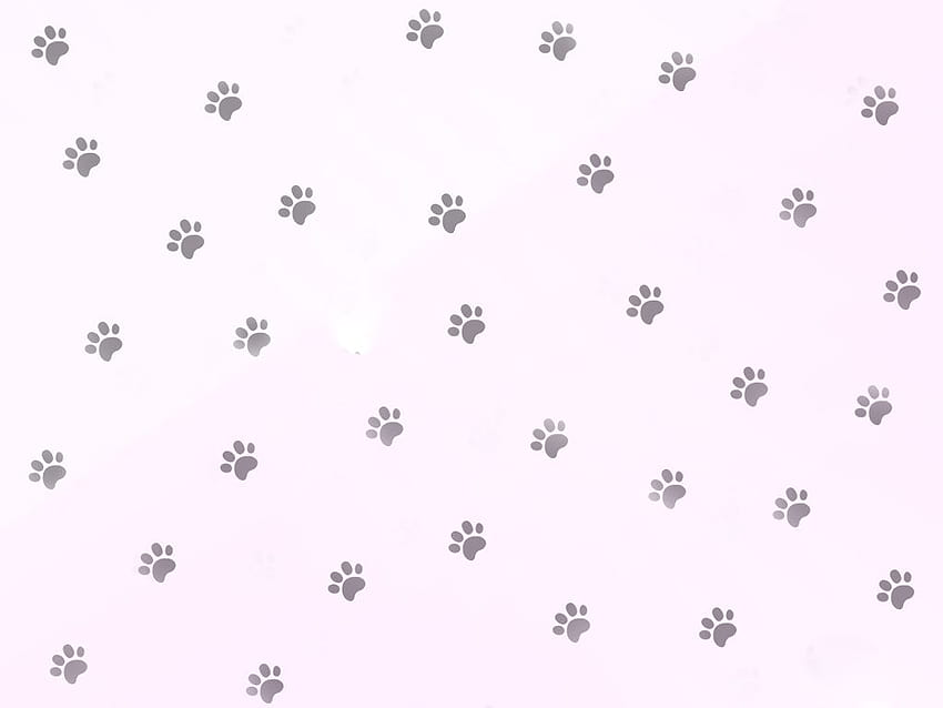 dog paws HD wallpaper