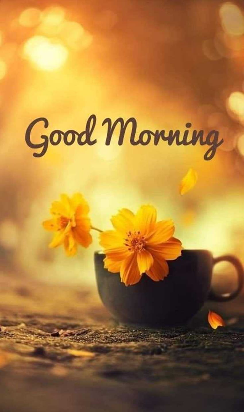 35 Good Morning Quotes And Positive Words for Good Morning HD ...