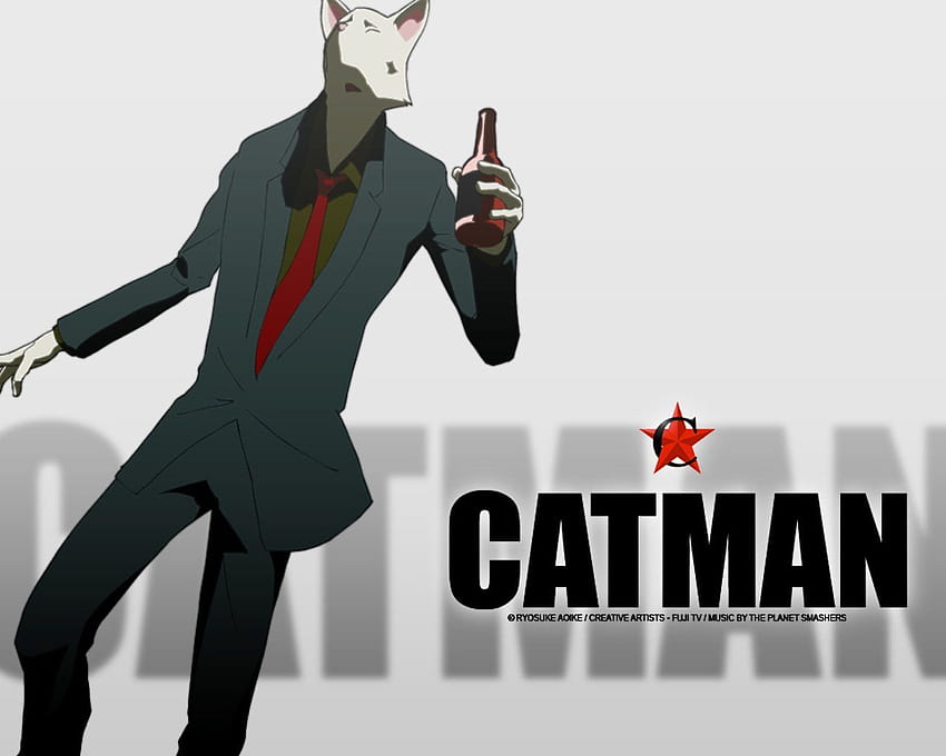 Catman and Backgrounds HD wallpaper