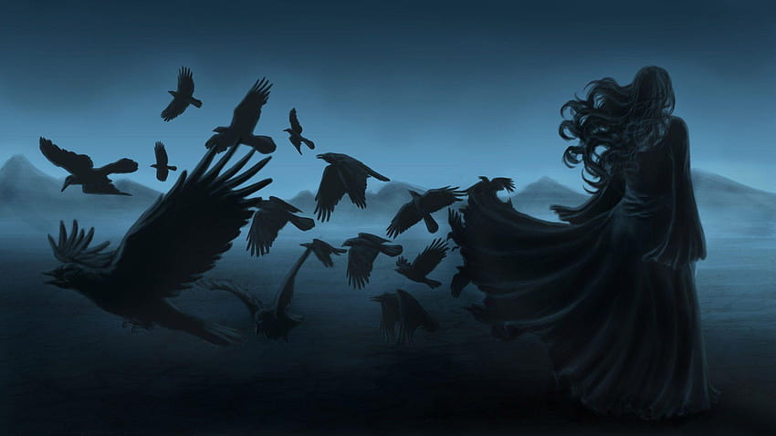 Beautiful HQFX 's : Crow, crows HD wallpaper