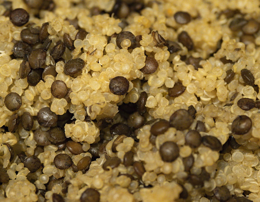 Puy Lentils Vegan ปิดขึ้น Quinoa อาหารมังสวิรัติการรับประทานอาหารเพื่อสุข วอลล์เปเปอร์ HD