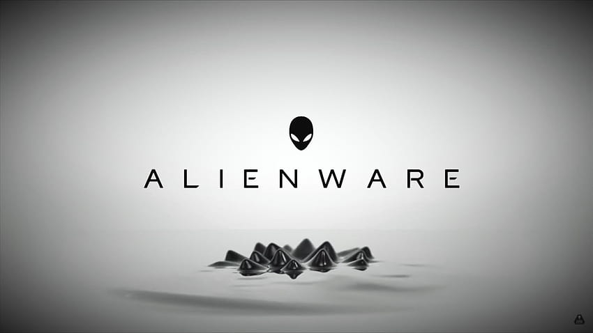 Alienware branco em cachorro, dell alienware papel de parede HD