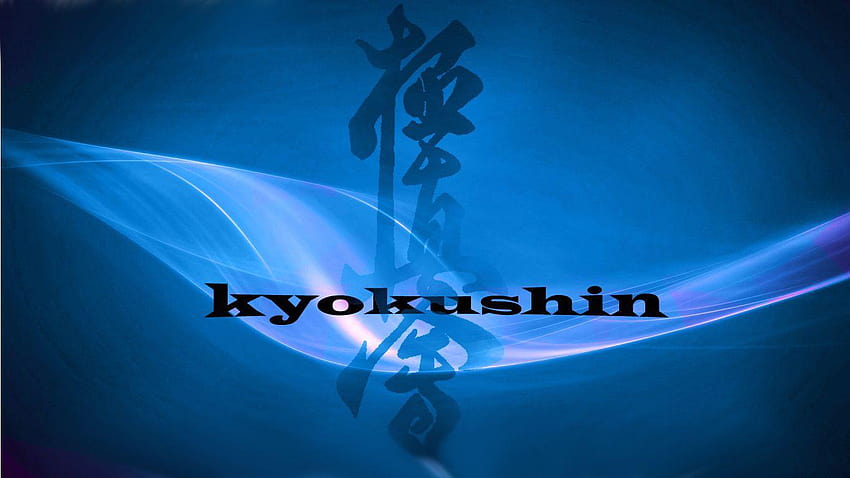 Groupe de karaté, karaté kyokushin complet Fond d'écran HD