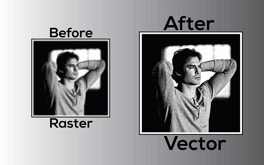 I Will Convert Your From Raster To Vector HD wallpaper