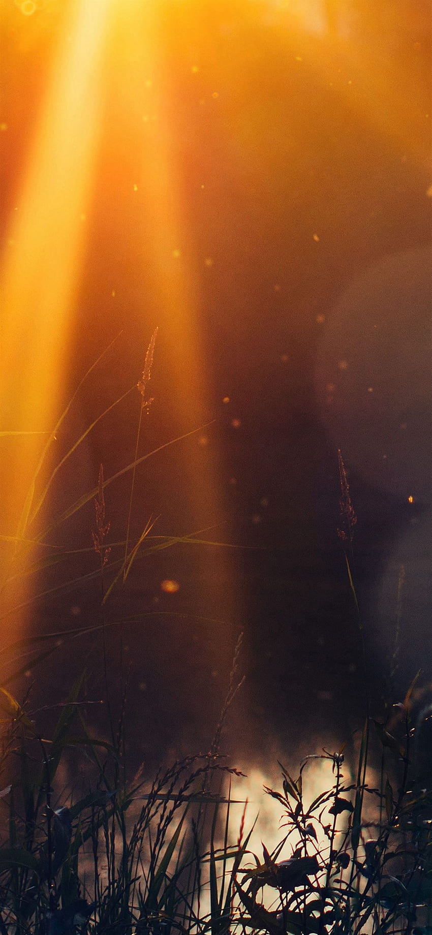 Gott Licht liebt dich Natur Blume Lake Flare iPhone X, leichte Flare HD-Handy-Hintergrundbild