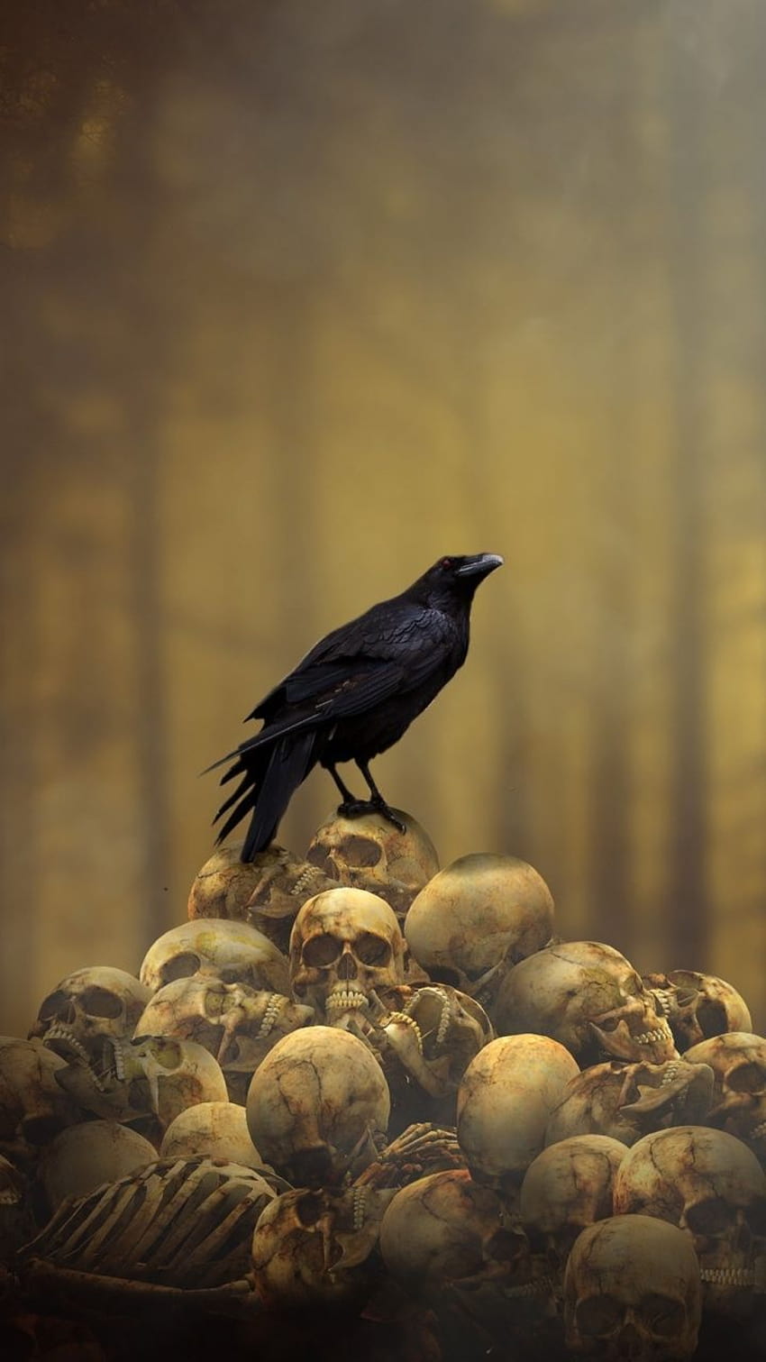 Fantasy, raven, skulls' heap, bird, 720x1280, raven bird HD phone wallpaper