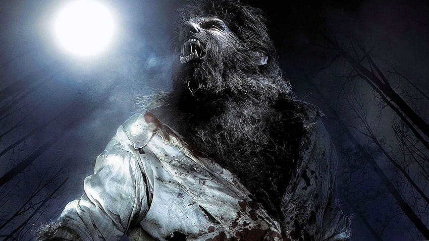 Wolfman posted by Christopher Sellers, the wolfman HD wallpaper | Pxfuel