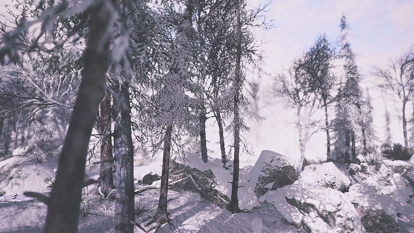 T. Ch., 1920x1080 paisaje invernal fondo de pantalla