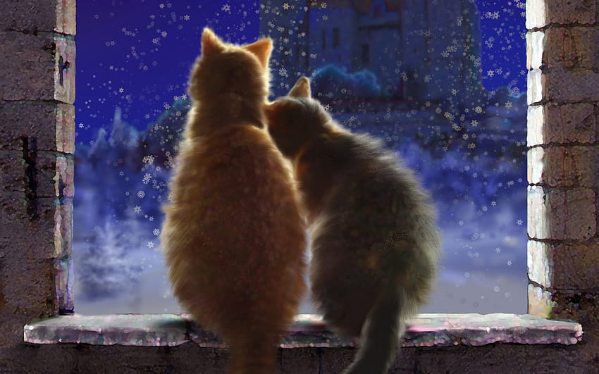 アート 猫 ペア 愛 雪 冬 窓枠 城 夜 雪片 高画質の壁紙