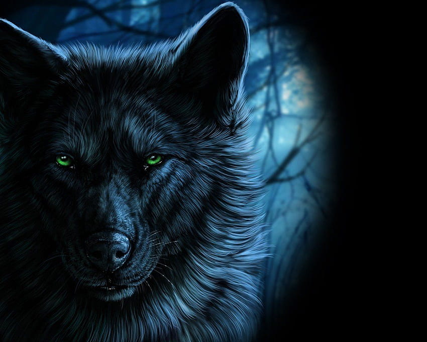 Wolf Green Eyes, wolf eye HD wallpaper
