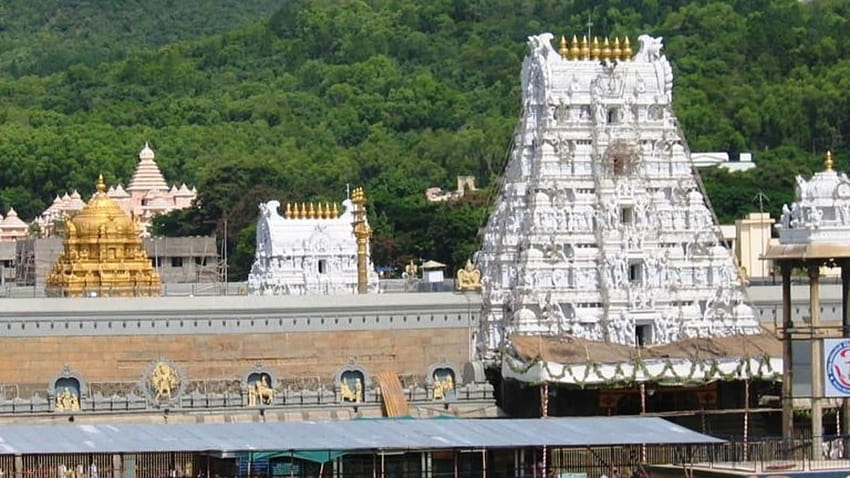 Navaneeta Seva': Tirumala Tirupati Devasthanams, 토착 암소 품종 홍보 계획 발표, tirupati 사원 HD 월페이퍼