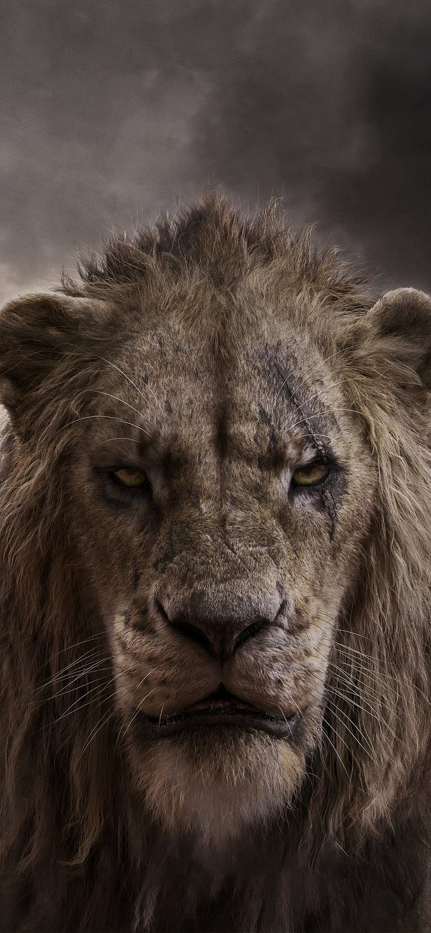 chiwetel ejiofor as scar in the lion king 2019 iPhone, lion iphone HD phone wallpaper