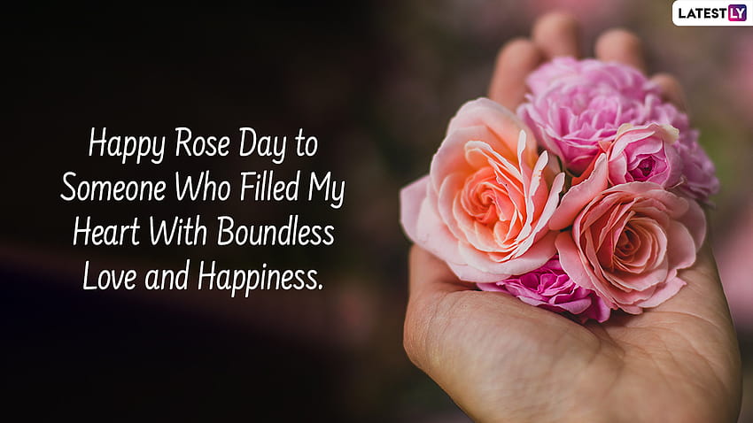 Rose Day 2022 Romantic Messages & : Sweet Love Quotes, Warm Wishes, Rose  For Status And Thoughts To Celebrate the First Day of Valentine's Week,  2022 valentines week days HD wallpaper | Pxfuel