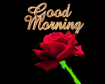 Best Good Morning Pic 4k Hd New 3D Morning DP Wallpaper