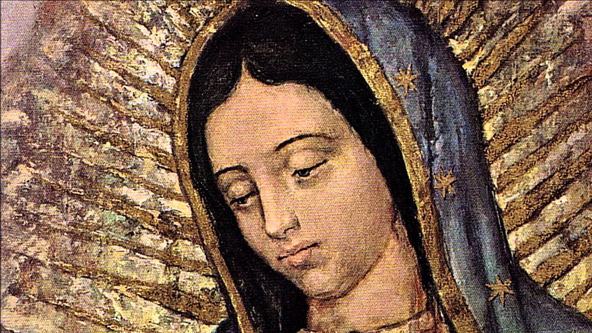 Twój kompletny przewodnik po La Virgen De Guadalupe, naszej Pani z Guadalupe Tapeta HD