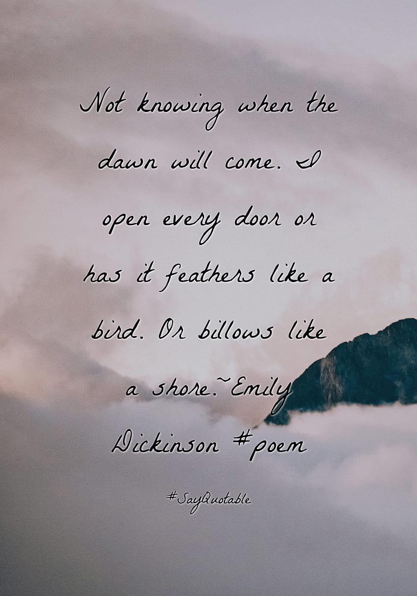 Quotes about Not knowing when the dawn will come. I open every door or ...