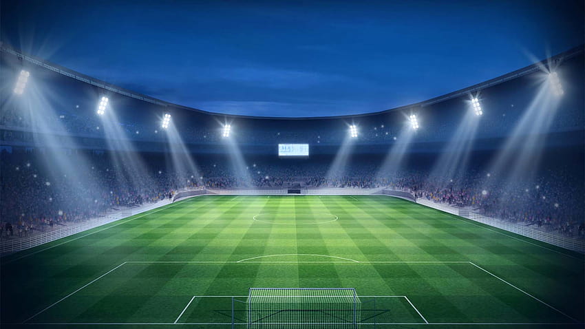 Lapangan Sepak Bola di Anjing, lapangan sepak bola Wallpaper HD