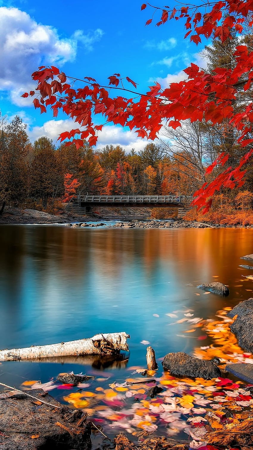 Beautiful Fall Scenery, scenery 2021 HD phone wallpaper