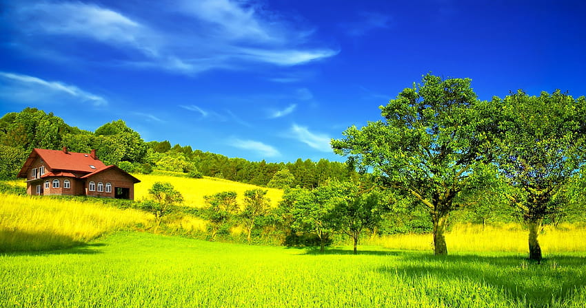 лятна къща зелено поле ултра » Висока, лятна природа ултра HD тапет