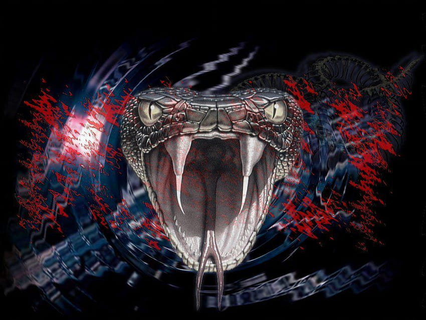 Snake Horror, venomous snakes HD wallpaper