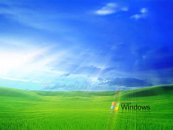 windows xp background original