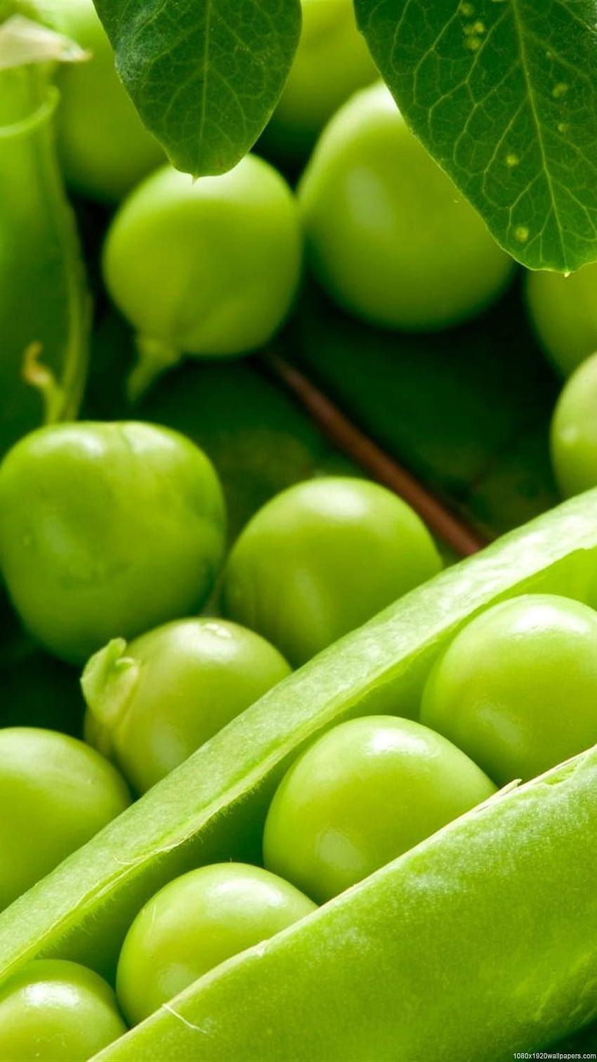 Green Food, green peas HD phone wallpaper