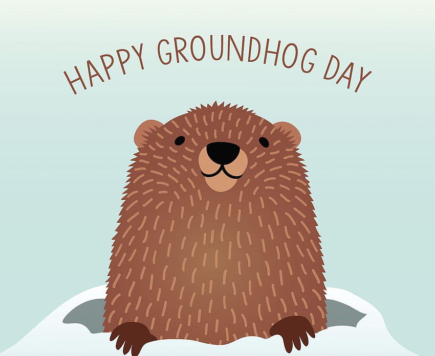 Groundhog Day 2018, groundhog day 2019 HD wallpaper