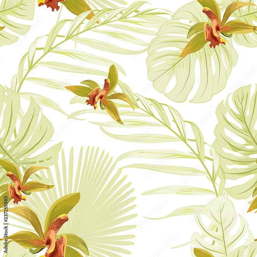 Patrón tropical floral transparente. Flores de phalaenopsis orquídea Cattleya. Hojas exóticas de color verde claro selva palmera monstera. Hermosos s de follaje. Ilustración de diseño vectorial. Vector de stock fondo de pantalla del teléfono