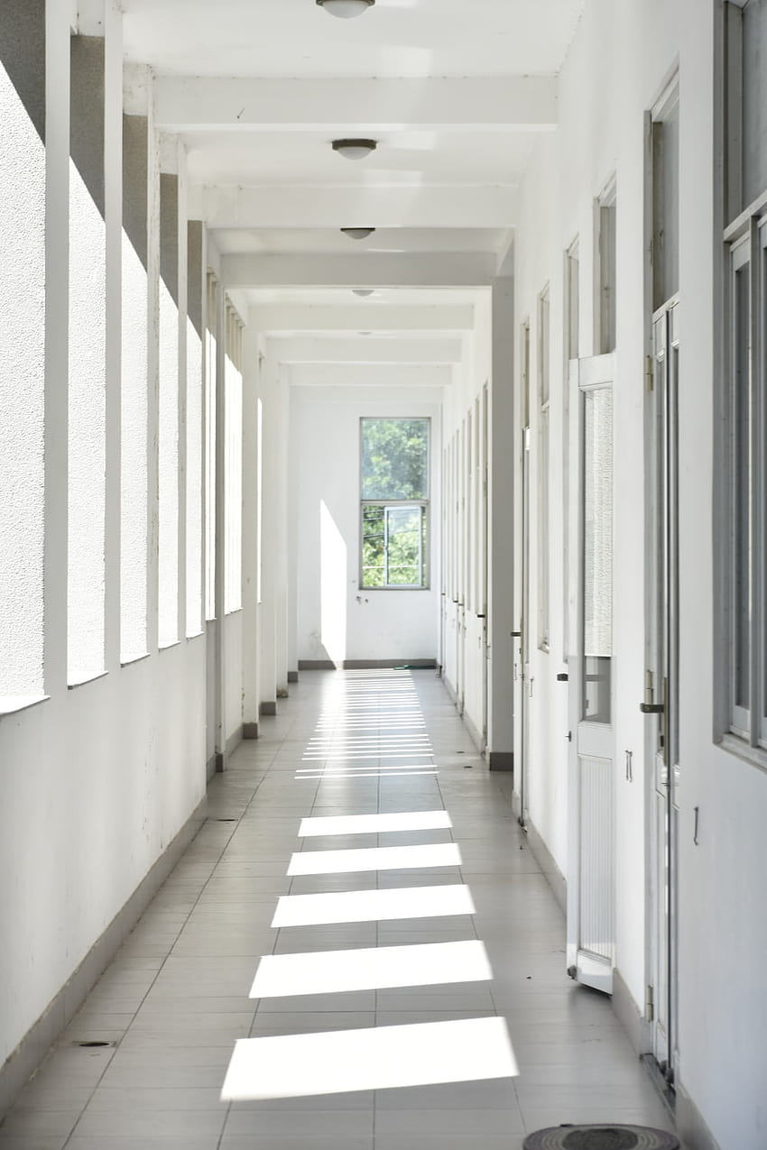 Koridor sekolah, lorong sekolah wallpaper ponsel HD