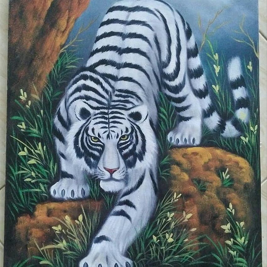 Gambar Harimau Putih ~ jpg, macan putih siliwangi fondo de pantalla del teléfono