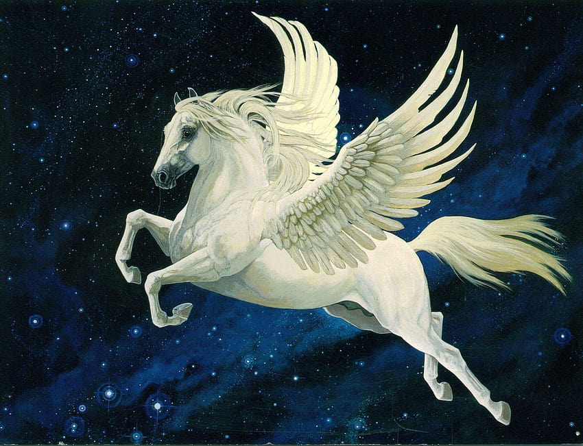 Pegasus Pegasus y s fondo de pantalla