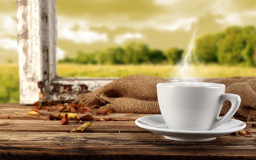 Hot tea on a cold day of Autumn HD wallpaper