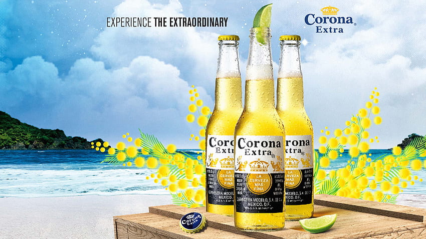 Corona beer beats Coronavirus memes with 21% growth HD wallpaper