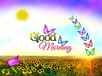 Beautiful Good Morning HD Wallpapers - Top Những Hình Ảnh Đẹp