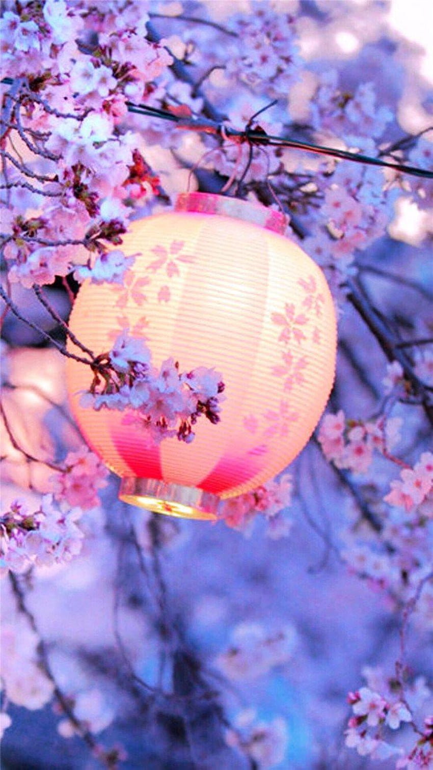 Cherry Blossom Pink Flower Iphone, ästhetisches Telefon der Kirschblüte HD-Handy-Hintergrundbild