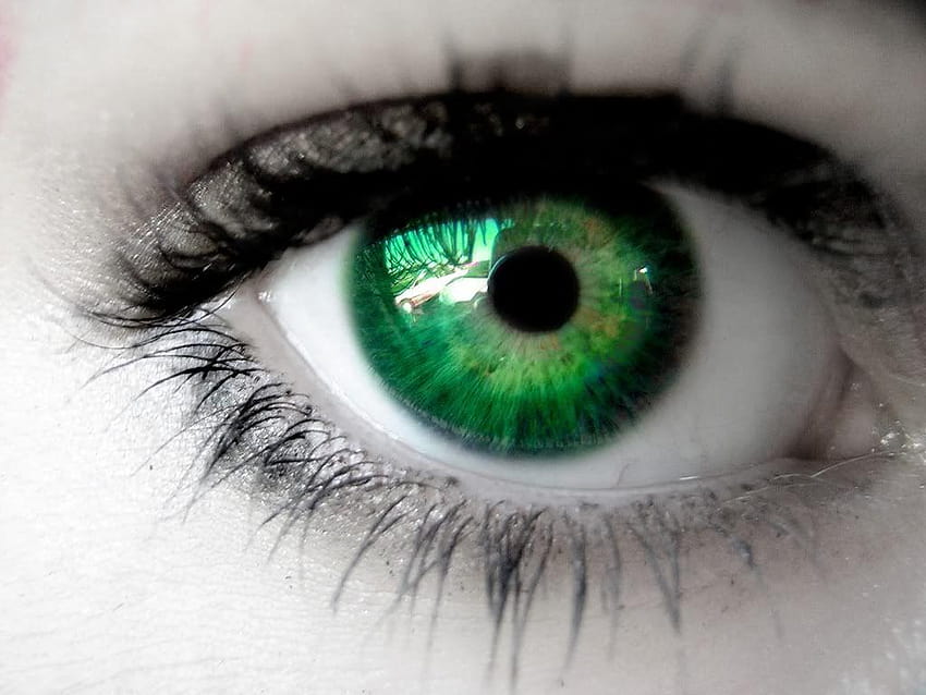 pale green eyes