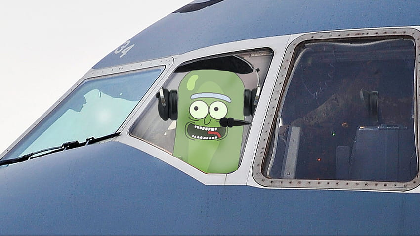 We salute the Air Force pilot who flew with a 'Rick and Morty' callsign, rick and morty pickle HD wallpaper