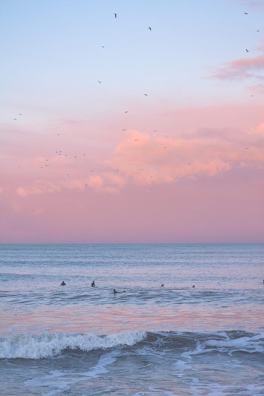 50 Pink Sky, pink sea aesthetic HD phone wallpaper