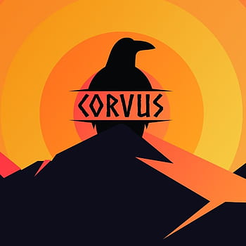 Corvus os