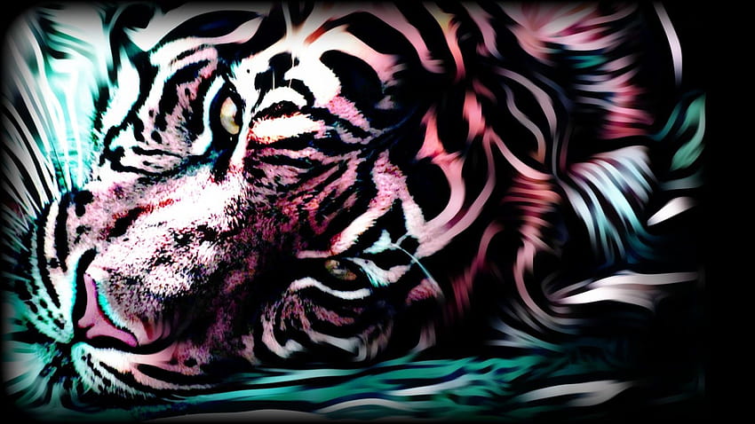 Tiger Beat Trap, alex and rus HD wallpaper