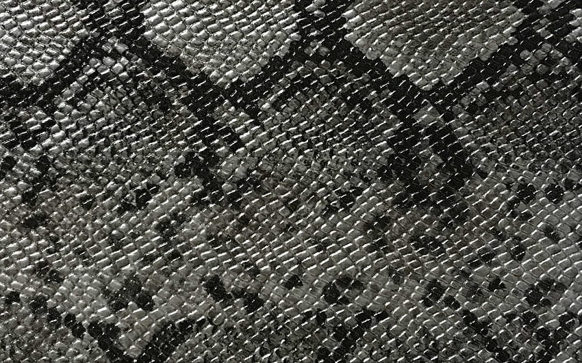 gray snake skin texture, cobra skin texture, creative background, snake skin backgrounds with resolution 2560x1600. High Quality, snake texture HD wallpaper