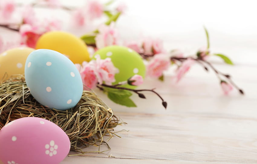 flowers, holiday, eggs, branch, spring, yellow, blue, green, Easter, socket, pink, flowering, Easter, Easter , section праздники, green easter HD wallpaper