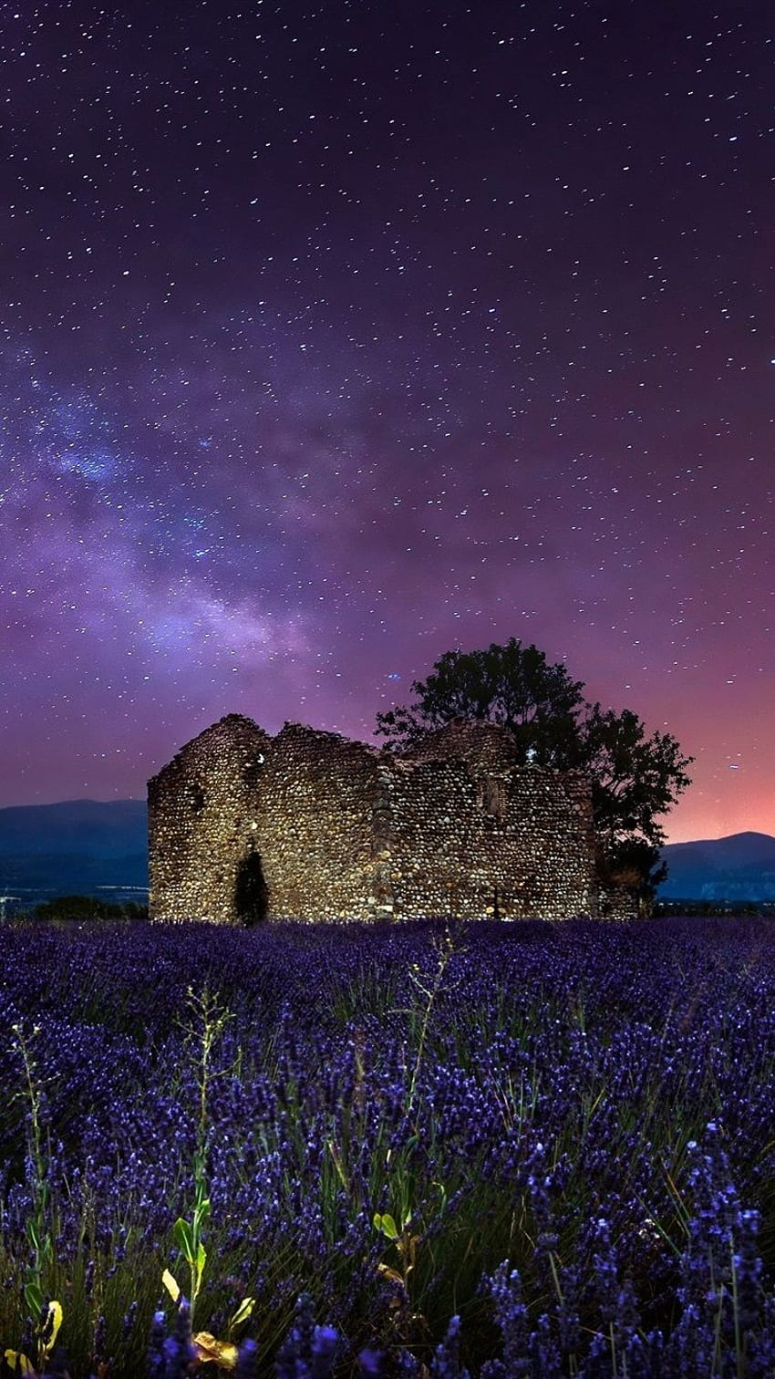 Night, starry, stars, lavender flowers, stones house 750x1334 iPhone 8/7/6/6S , background, lavender field at starry night HD phone wallpaper
