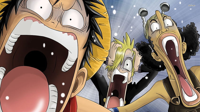 Luffy o melhoor  Fotos de anime engraçada, Anime, Anime engraçado