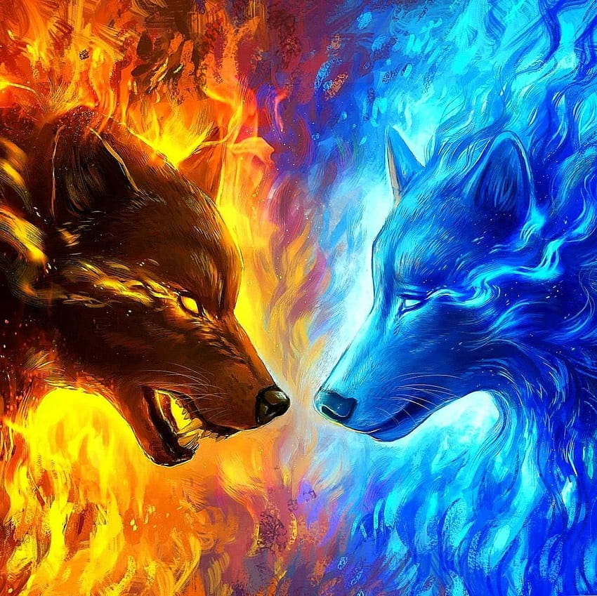 Hot Vs Cold posted by Michelle Sellers, hot and cold HD wallpaper | Pxfuel