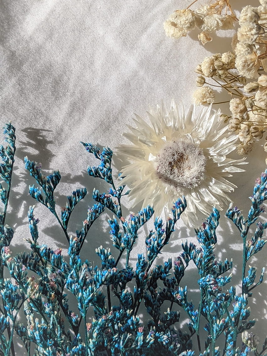 bunga putih dan coklat pada tekstil abu-abu – Estetika abu-abu, biru dan abu-abu wallpaper ponsel HD