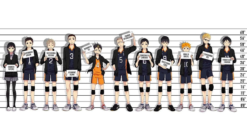 Anime characters posing for mug shot digital, anime haikyuu HD wallpaper
