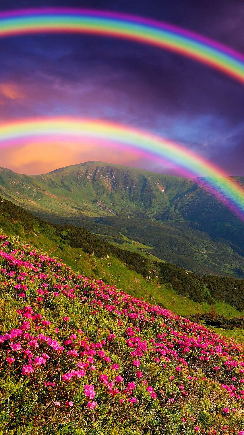 7 Arcoíris en las Montañas Móvil, montañas arcoíris fondo de pantalla del teléfono