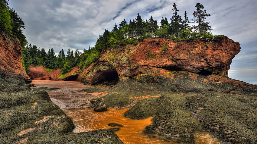 The Bay of Fundy, New Brunswick, Canada Ultra HD wallpaper